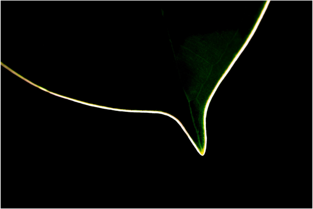 Main image Glowing Line