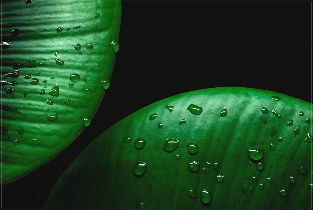 Main image Harmonical Raindrops