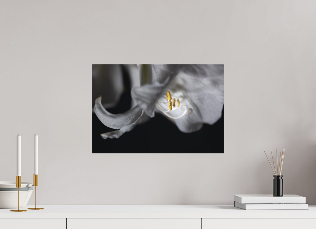 45 x 30 cm, Foto-Leinwand aus hochwertigem Textil, 40mm Firefly Flower