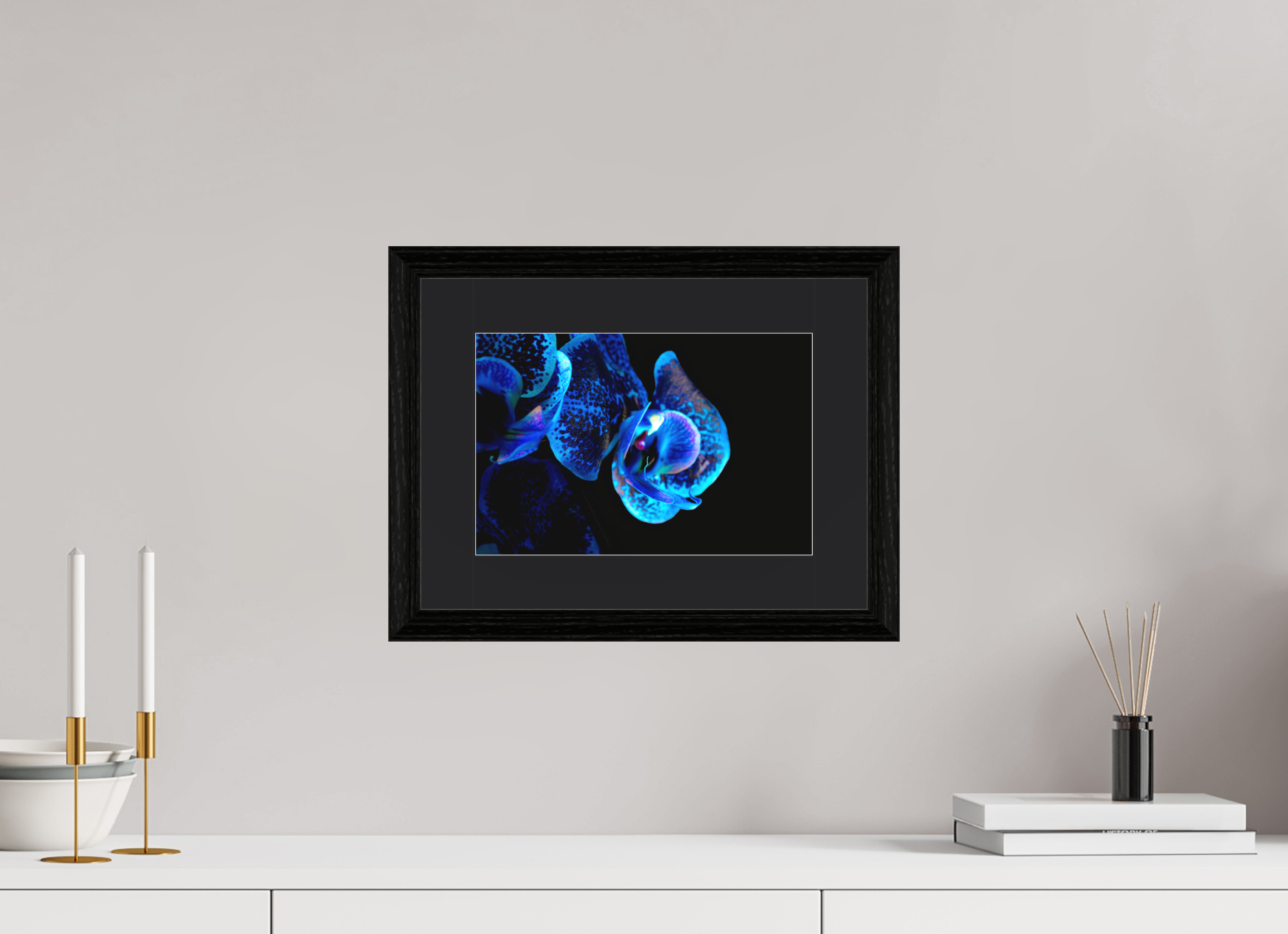 30 x 20 cm, Hahnemühle FineArt Baryta im schwarzen Eichen Rahmen, 27mm,Museumsglas, Passepartout Schwarz Lapislazuli Chameleon - Fine Art