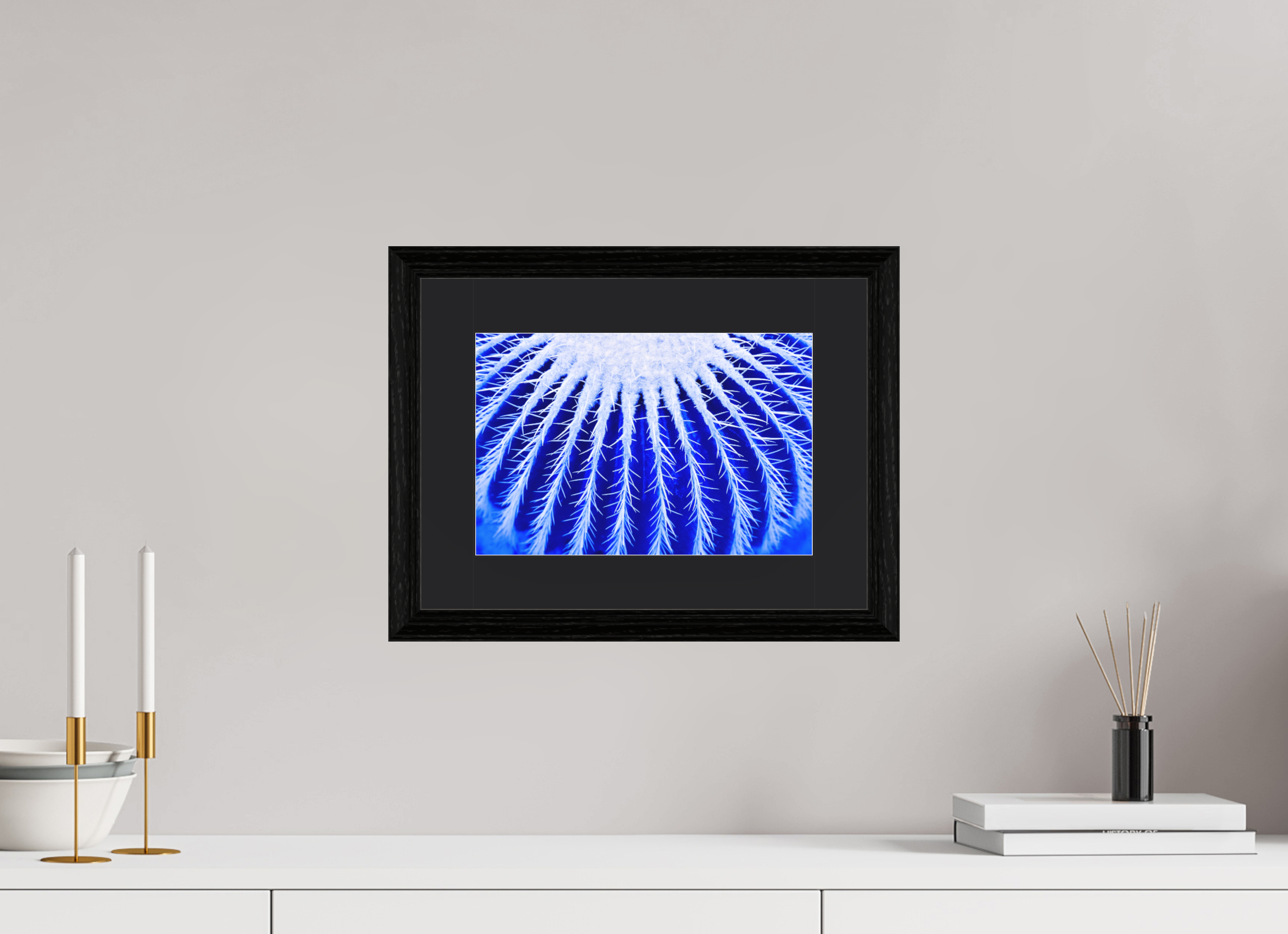 30 x 20 cm, Foto im schwarzen Eichen Rahmen, 27mm, Museumsglas, Passepartout schwarz Ice Kaktus