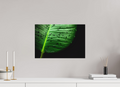 45 x 30 cm, Foto-Leinwand aus hochwertigem Textil, 40mm Tropical Raindrops
