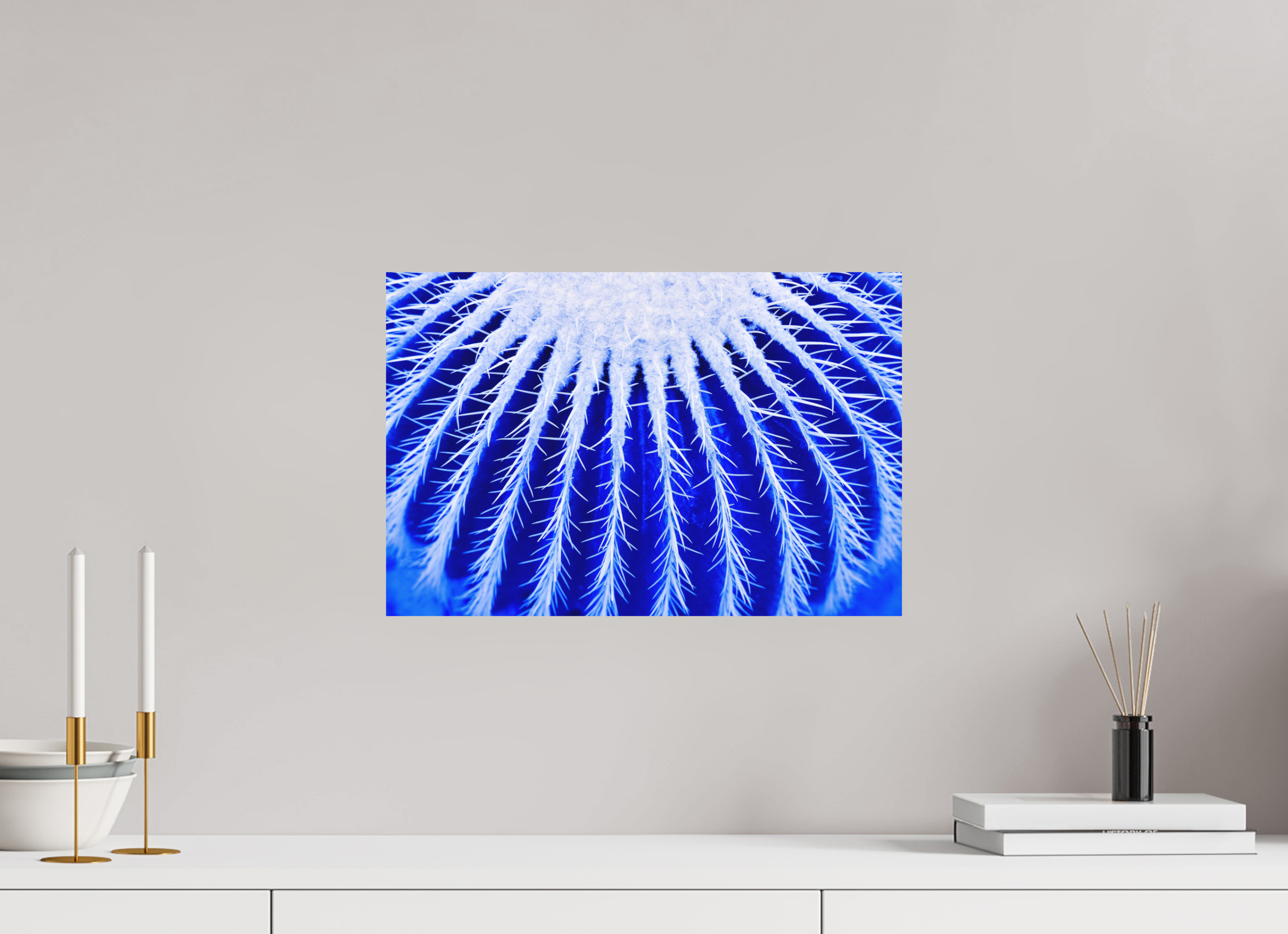45 x 30 cm, Foto auf Forex, mit Aufhängung Ice Kaktus