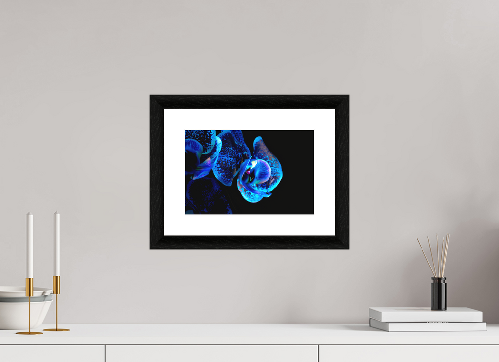 30 x 20 cm, Foto im schwarzen Ebenholz Rahmen 30mm, Museumsglas, Passepartout Hochweiß Lapislazuli Chameleon Flower