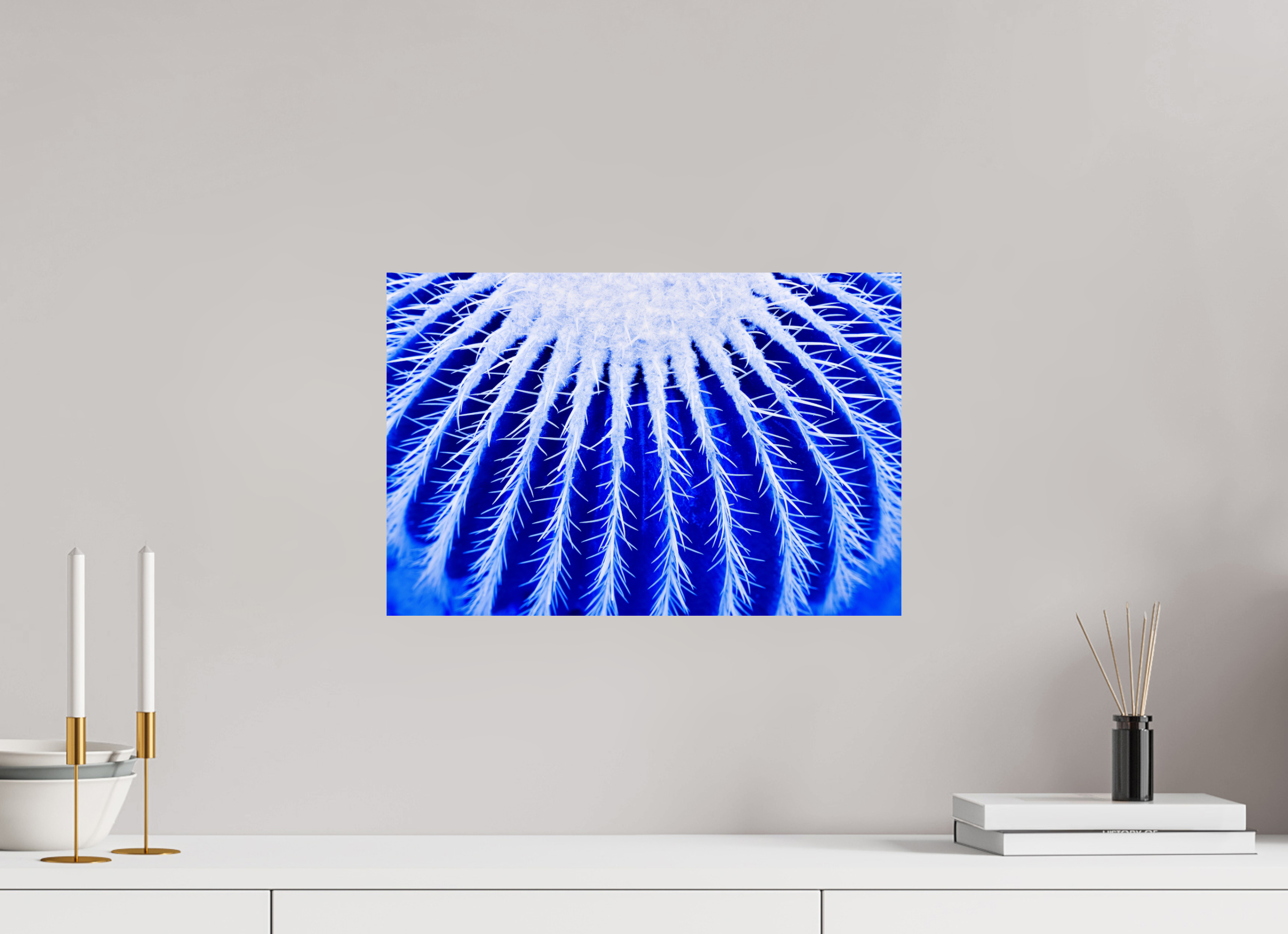 45 x 30 cm, ChromaLuxe HD Metal Print, mit Aufhängung Ice Kaktus
