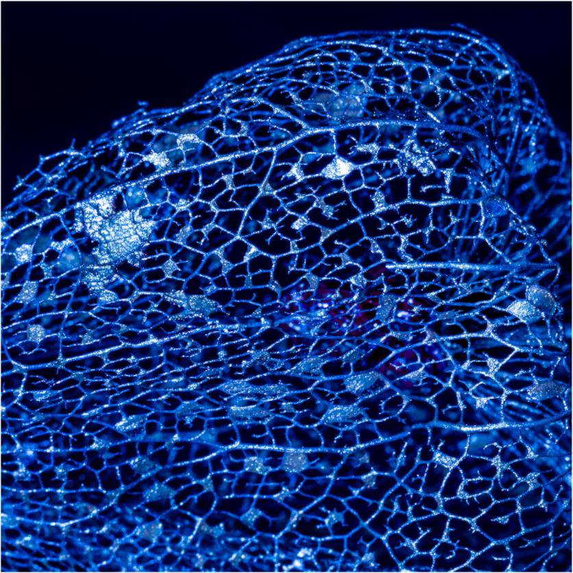 Main image Perle der Nacht Blau