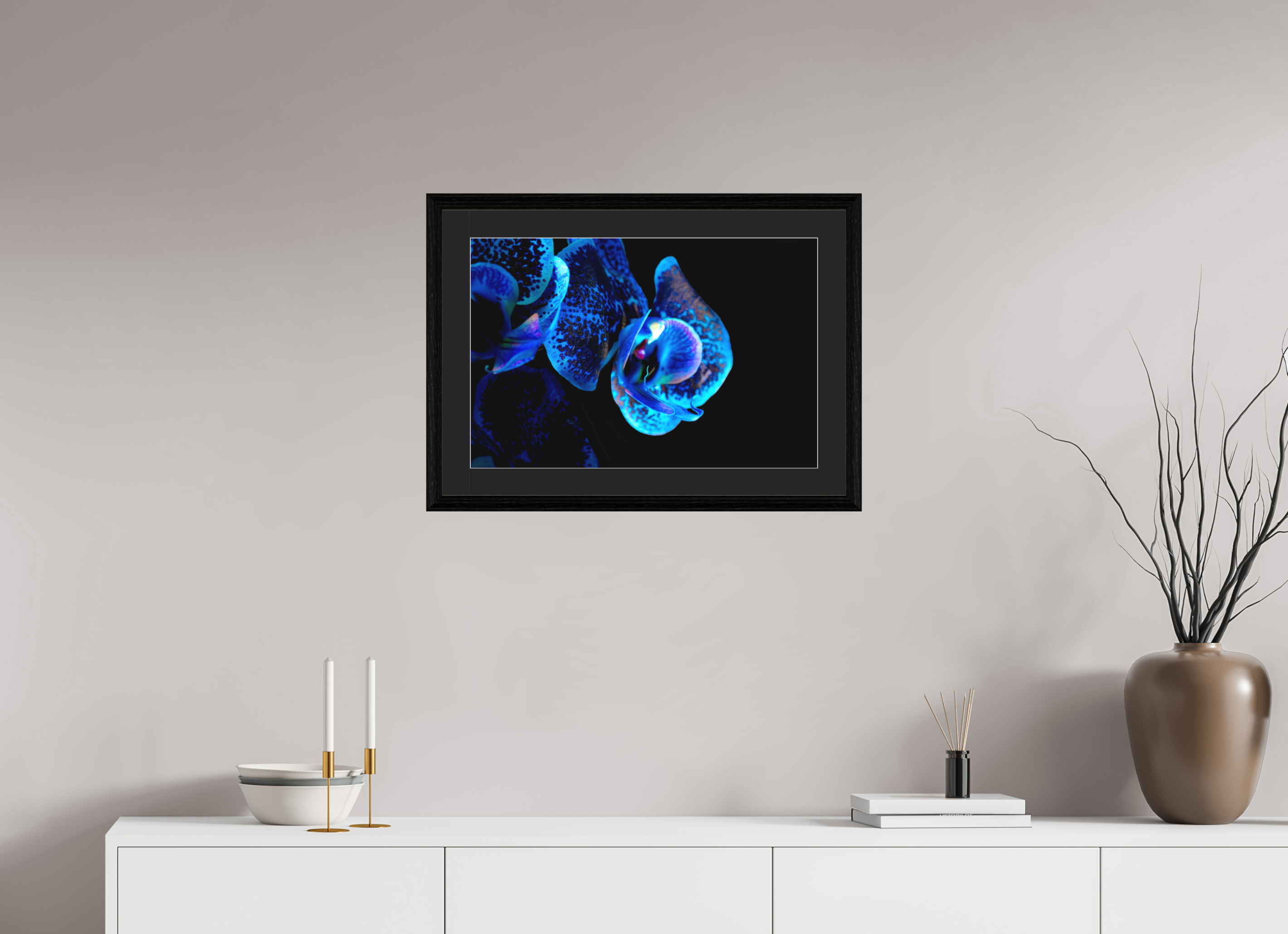 60 x 40 cm, Hahnemühle FineArt Baryta im schwarzen Eichen Rahmen, 27mm,Museumsglas, Passepartout Schwarz Lapislazuli Chameleon - Fine Art