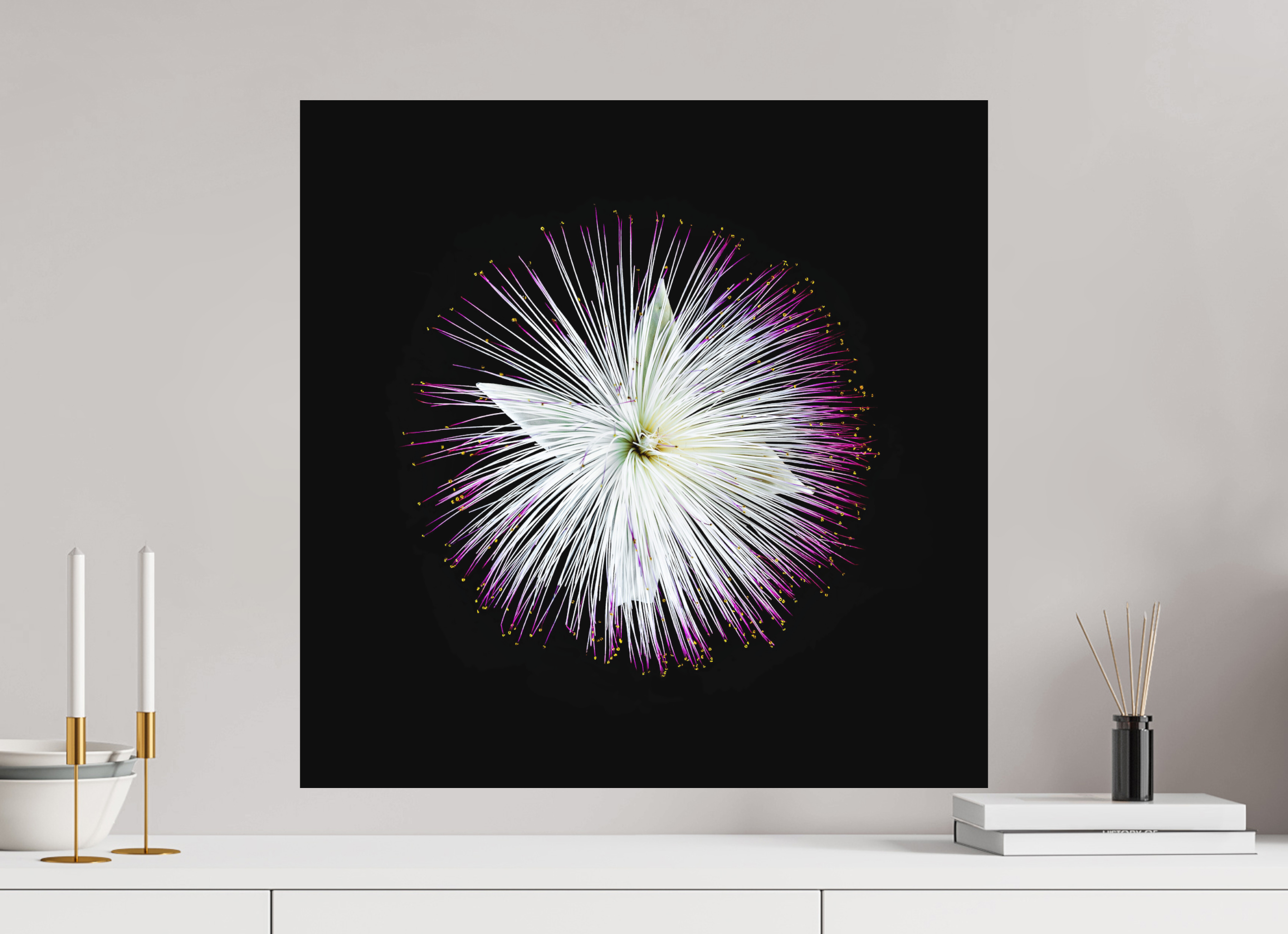60 x 60 cm, Foto auf Forex, mit Aufhängung Firework Blossom