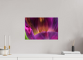 45 x 30 cm, Acrylglas, glänzend, 2 mm, Dibond 3 mm, mit Aufhängung Purple Beauty