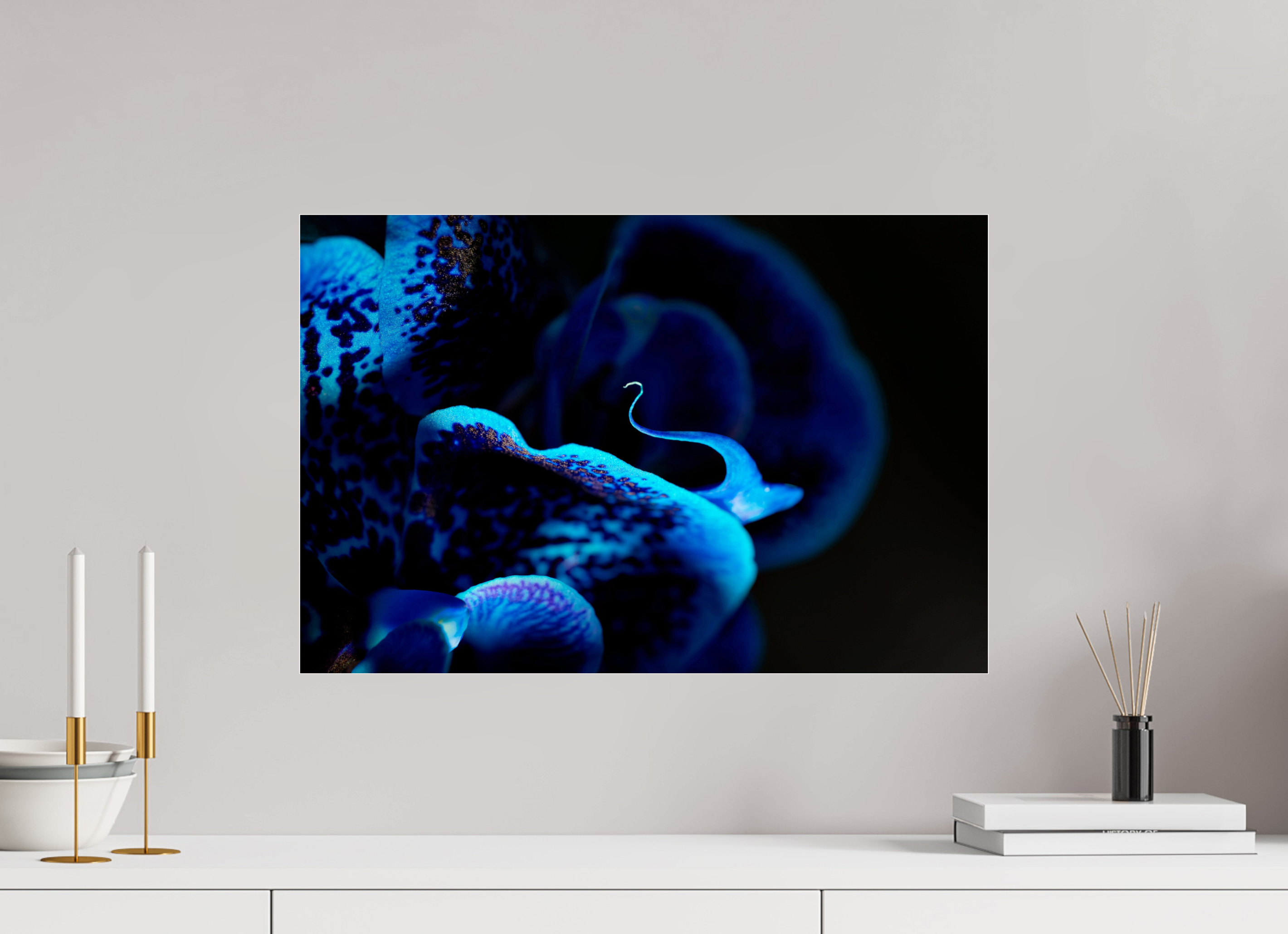 60 x 40 cm, Acrylglas, glänzend, 2 mm, Dibond 3 mm, mit Aufhängung Ultramarin Flower
