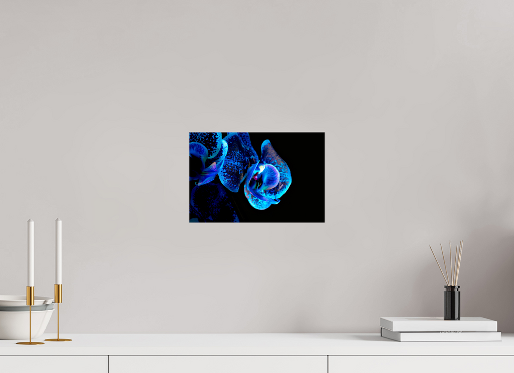 30 x 20 cm, Druck auf Hahnemühle FineArt Baryta Papier ohne Rahmen Lapislazuli Chameleon - Fine Art