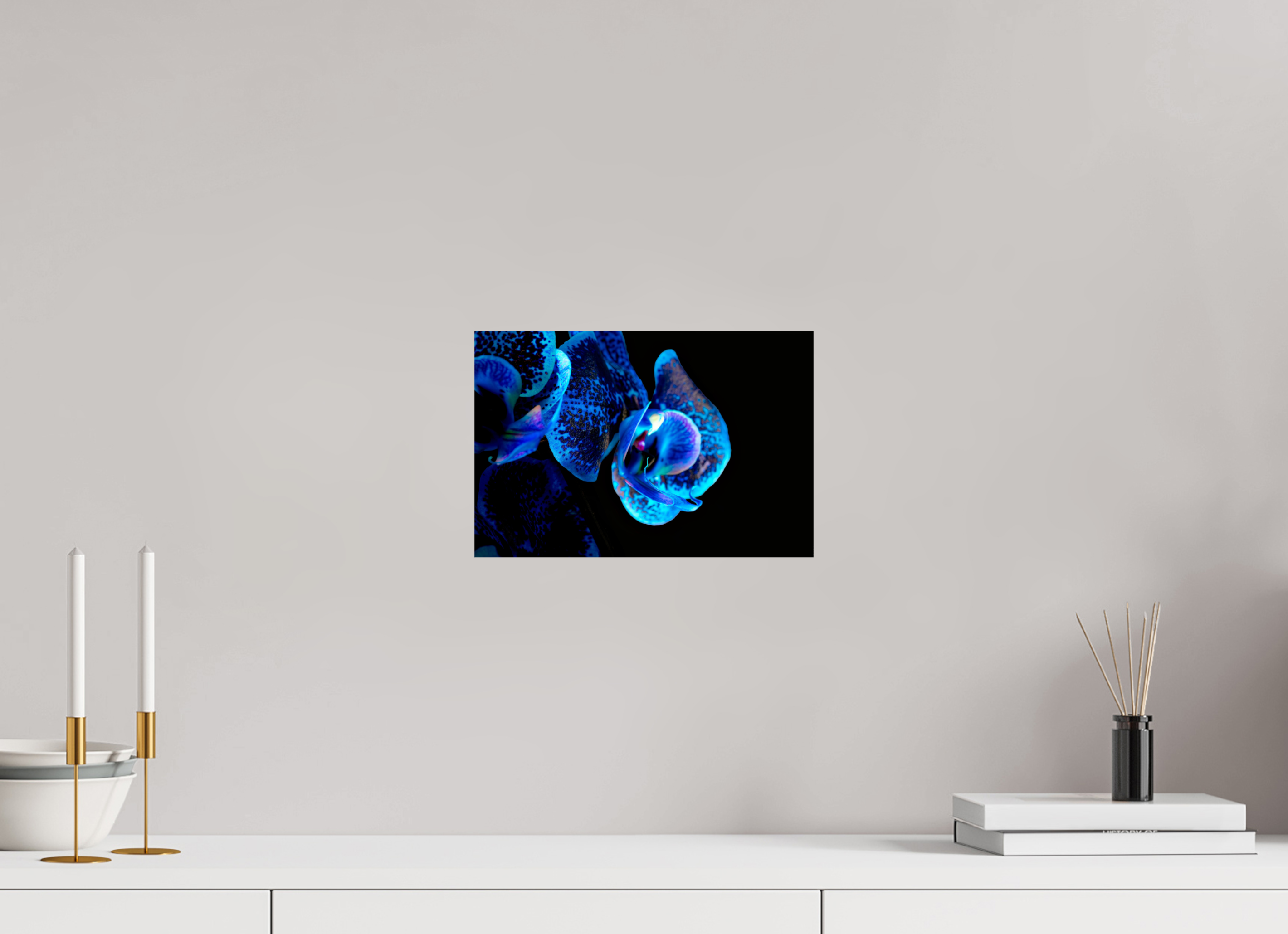 30 x 20 cm, Druck auf Hahnemühle FineArt Baryta Papier ohne Rahmen Lapislazuli Chameleon - Fine Art