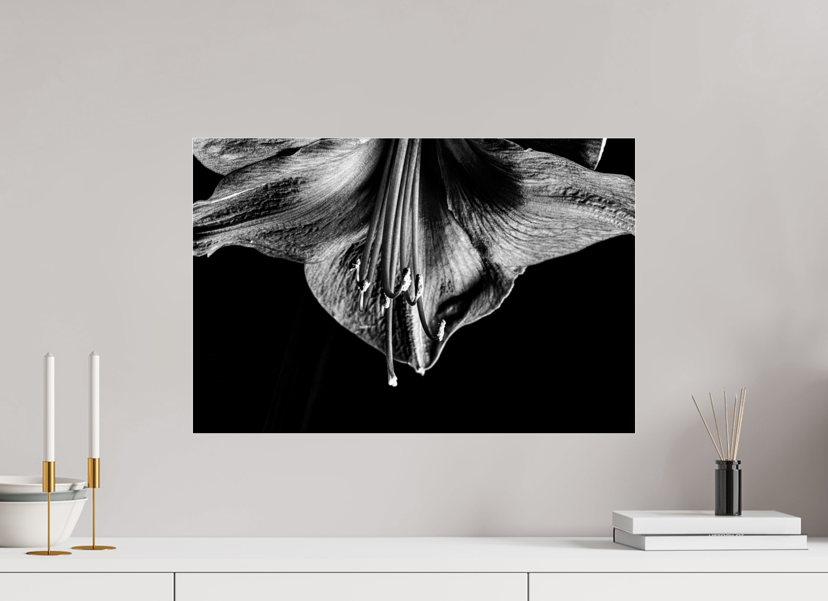 60 x 40 cm, Acrylglas, glänzend, 2 mm, Dibond 3 mm, mit Aufhängung Amaryllis Half Moon