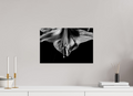 45 x 30 cm, ChromaLuxe HD Metal Print, mit Aufhängung Amaryllis Half Moon