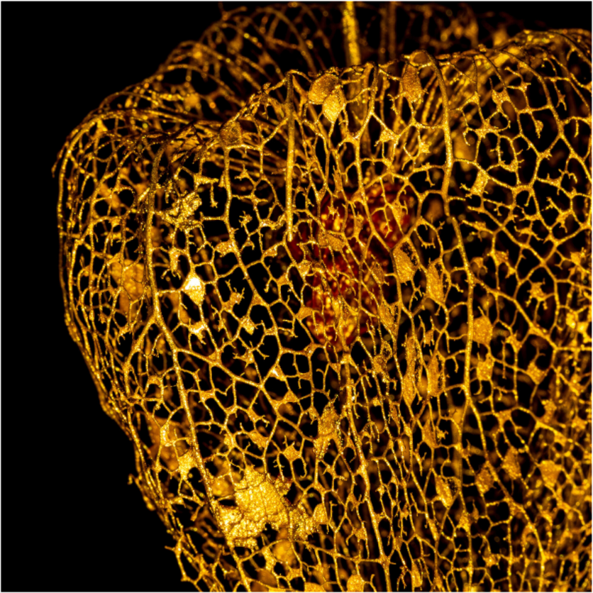 Main image Perle der Gold Nacht