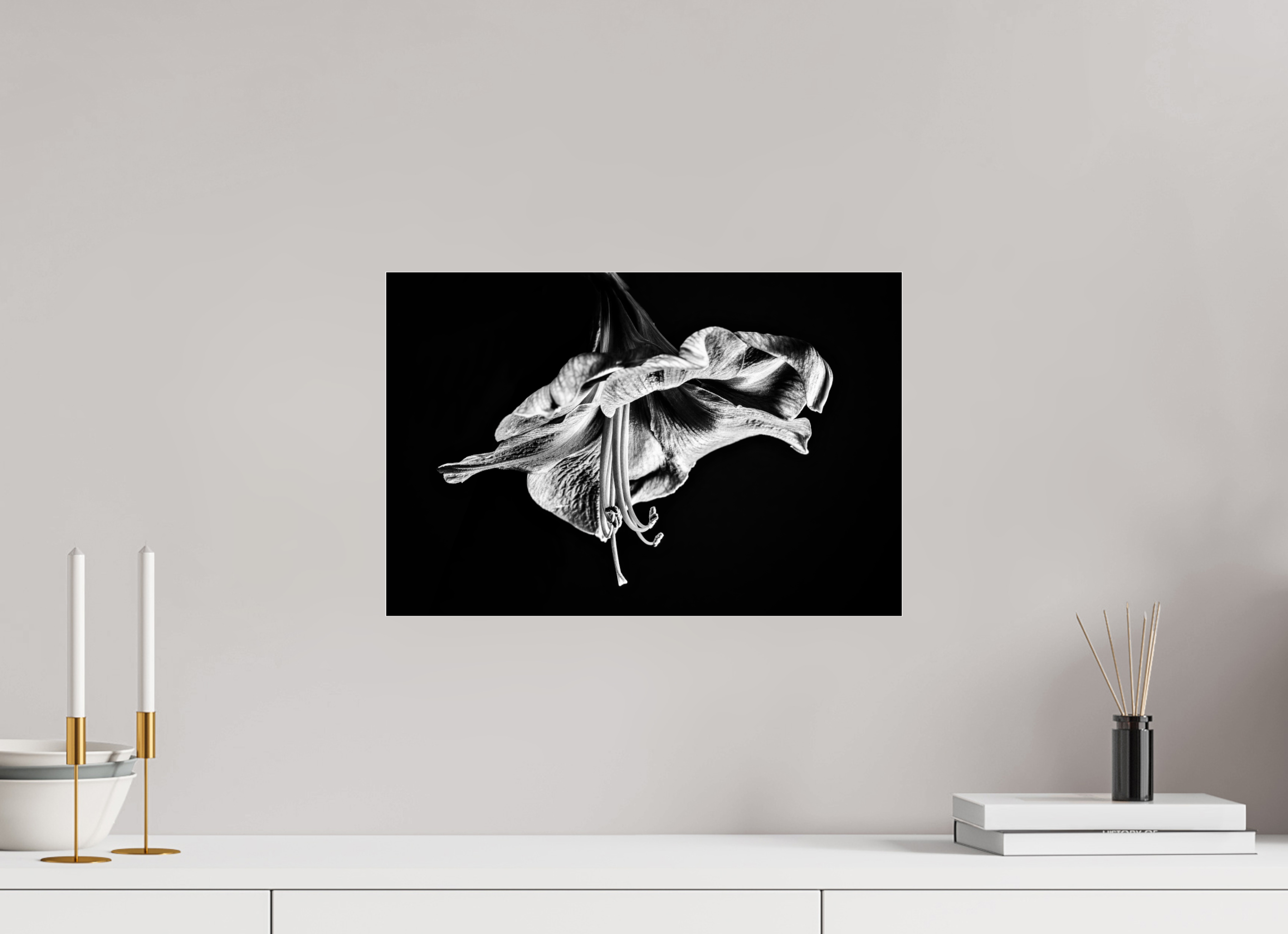 45 x 30 cm, Acrylglas, glänzend, 2 mm, Dibond 3 mm, mit Aufhängung Amaryllis in the Dawn