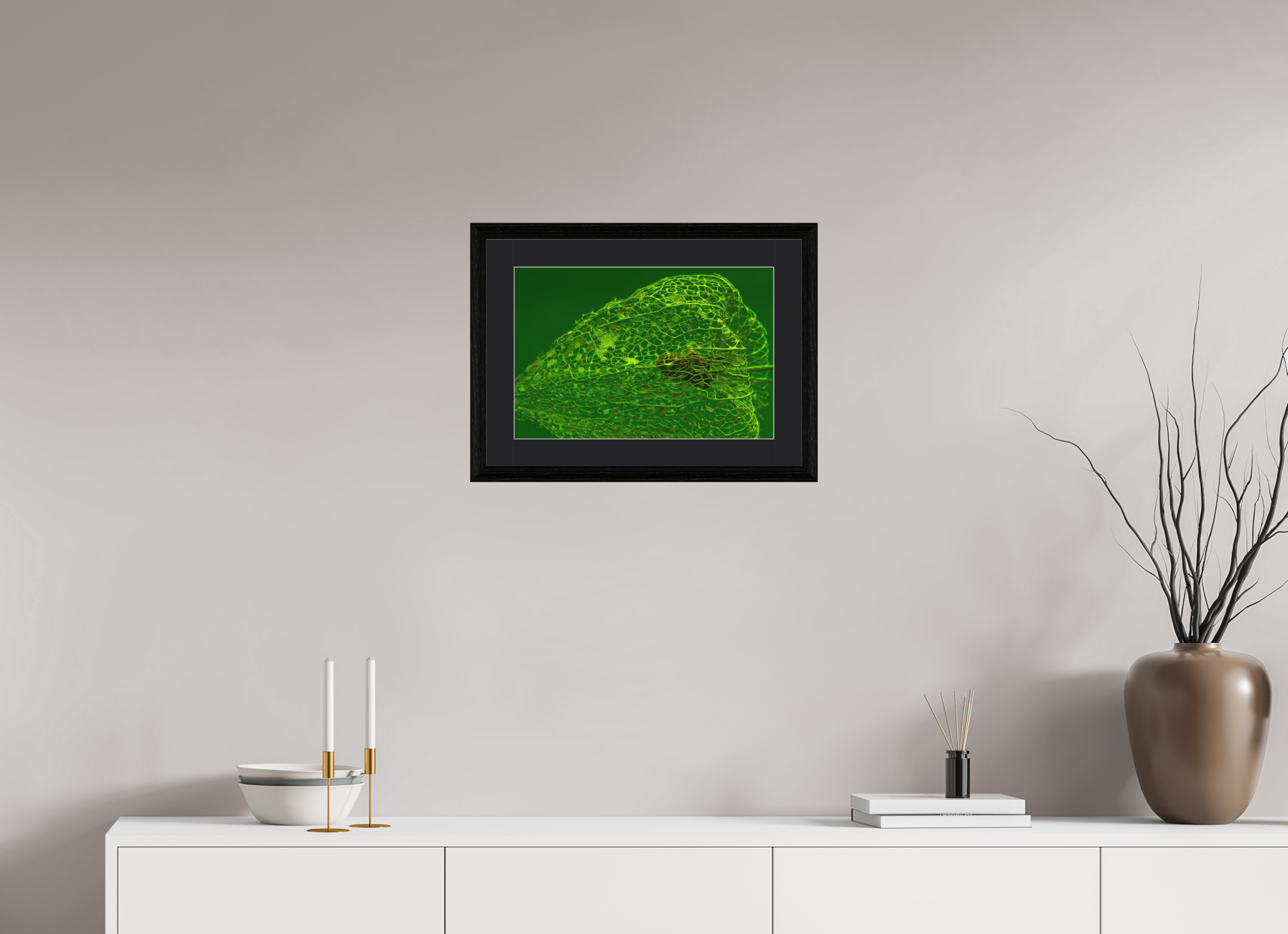 45 x 30 cm, Foto im schwarzen Eichen Rahmen, 27mm, Museumsglas, Passepartout schwarz Herz der Physalis Grün
