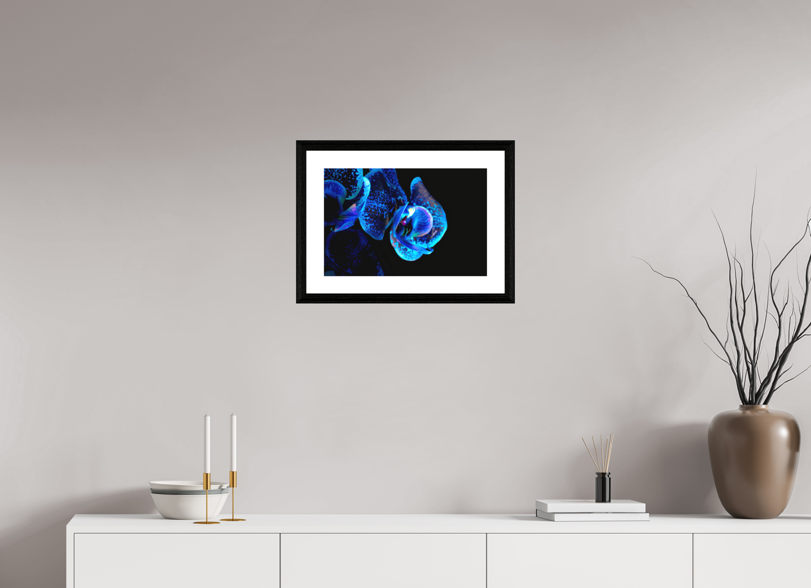 45 x 30 cm, Hahnemühle FineArt Baryta im schwarzen Eichen Rahmen, 27mm,Museumsglas, Passepartout Hochweiß Lapislazuli Chameleon - Fine Art
