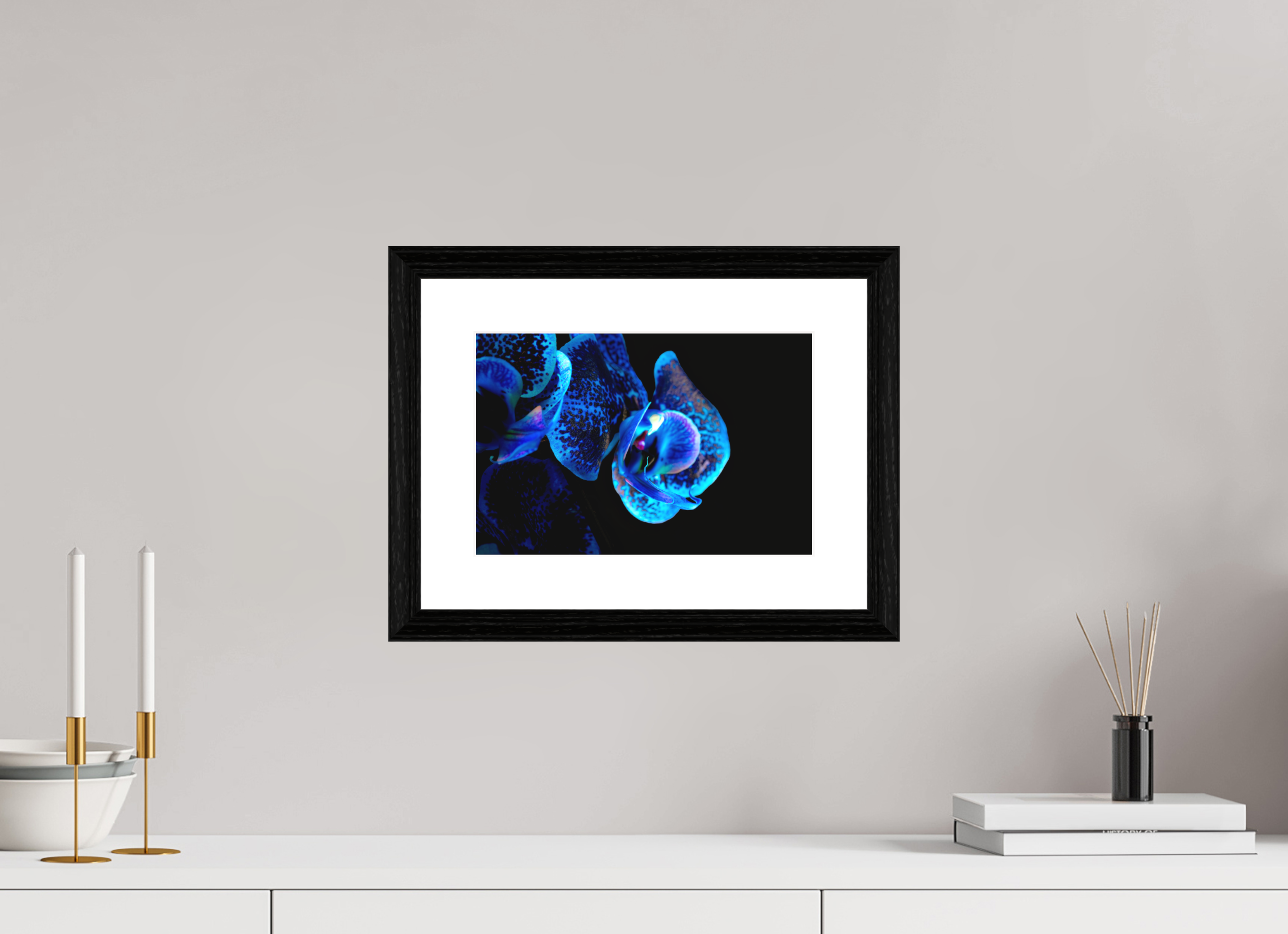 30 x 20 cm, Hahnemühle FineArt Baryta im schwarzen Eichen Rahmen, 27mm,Museumsglas, Passepartout Hochweiß Lapislazuli Chameleon - Fine Art
