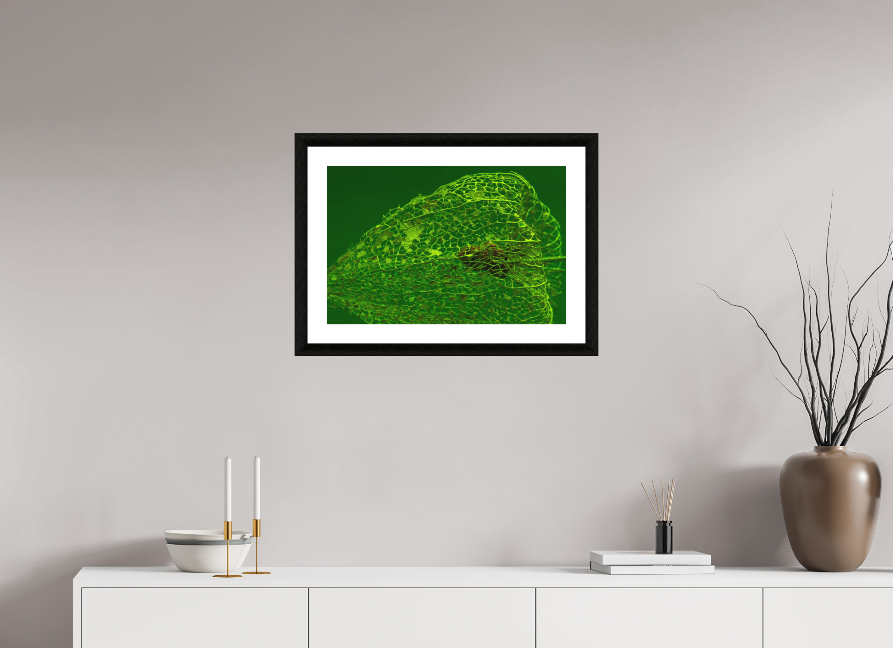60 x 40 cm, Foto im schwarzen Ebenholz Rahmen 30mm, Museumsglas, Passepartout Hochweiß Herz der Physalis Grün