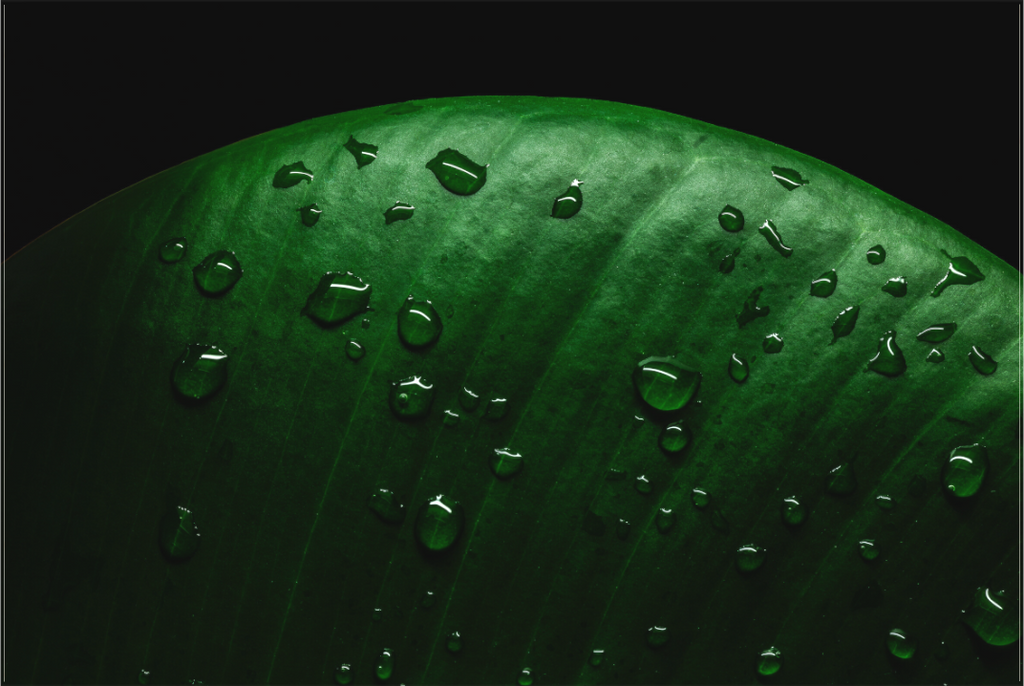 Main image Silent Raindrops