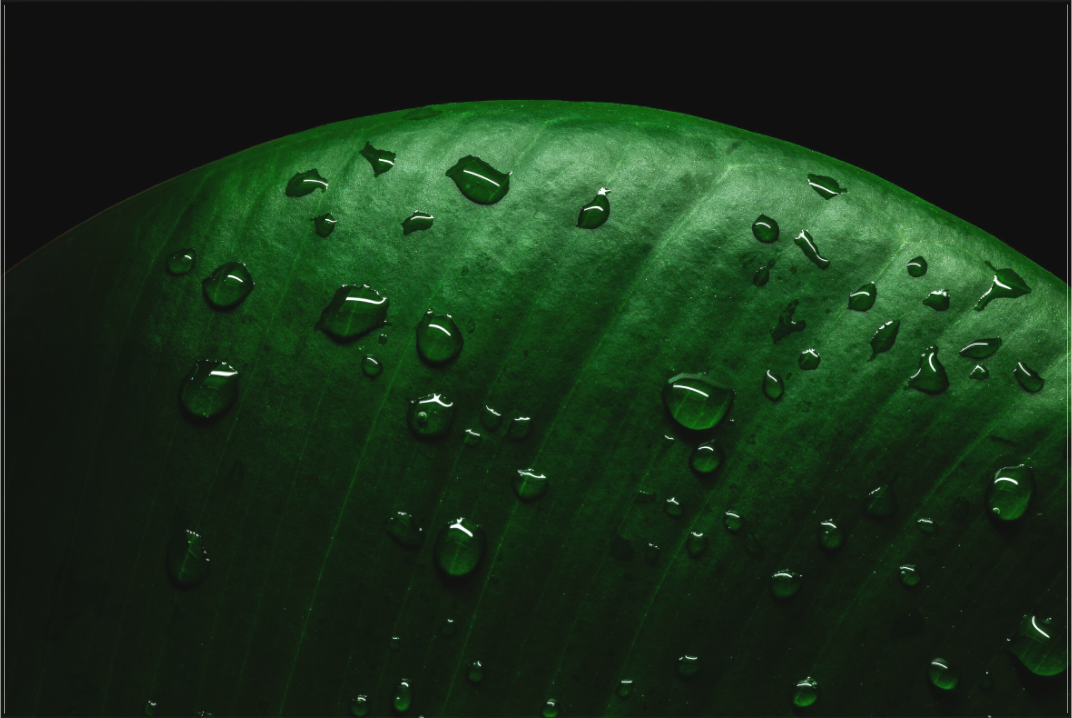 Main image Silent Raindrops