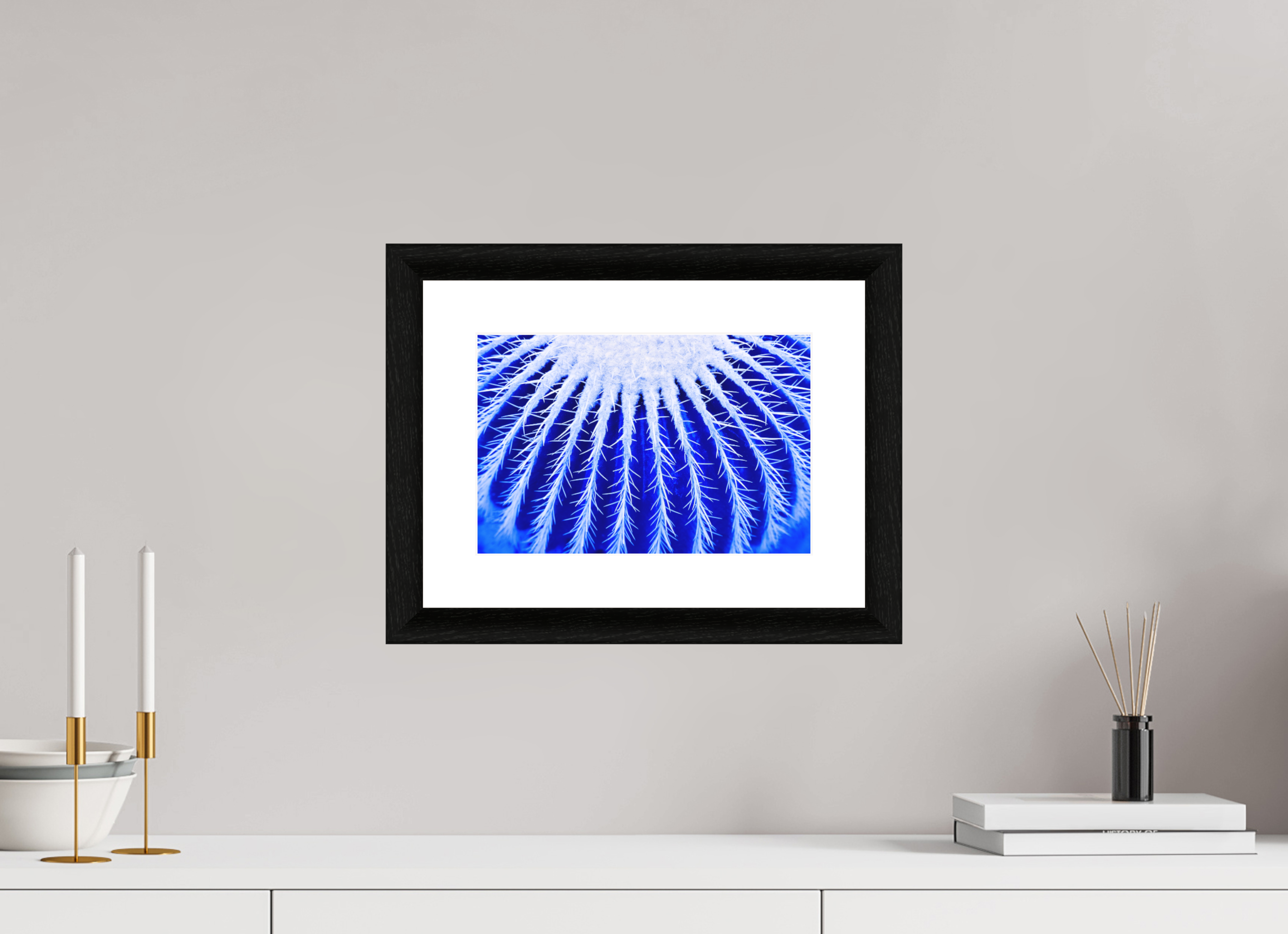 30 x 20 cm, Foto im schwarzen Ebenholz Rahmen 30mm, Museumsglas, Passepartout Hochweiß Ice Kaktus