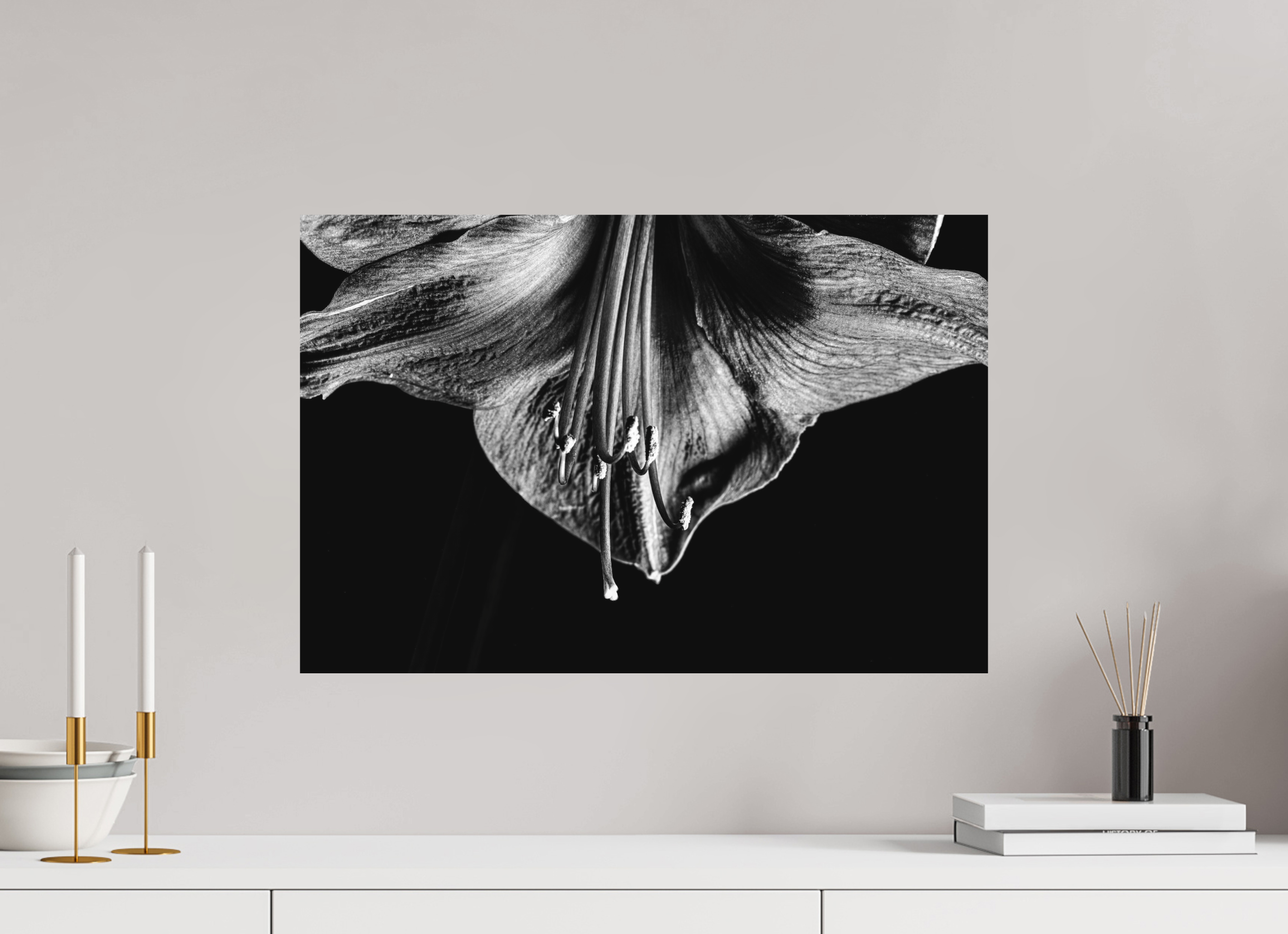 60 x 40 cm, Foto auf Forex, mit Aufhängung Amaryllis Half Moon