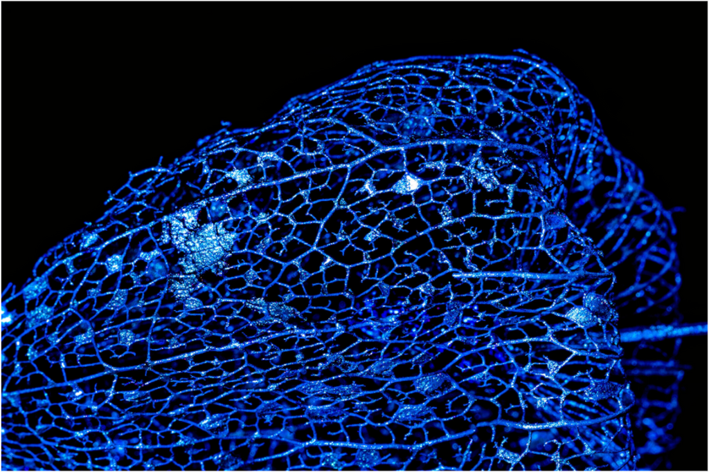 Main image Blaues Farbleuchten