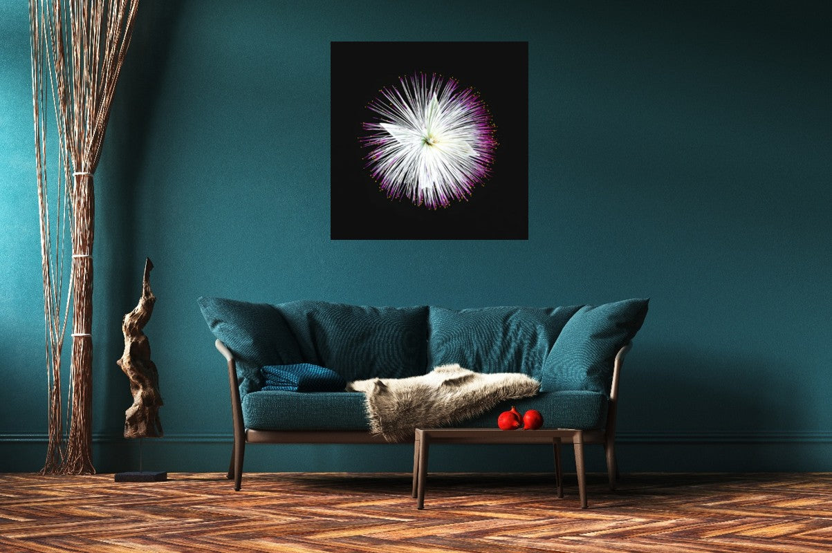 Firework Blossom