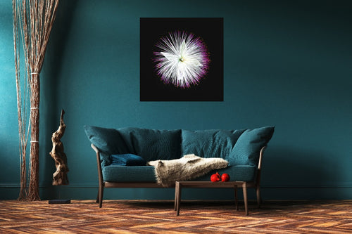 Firework Blossom