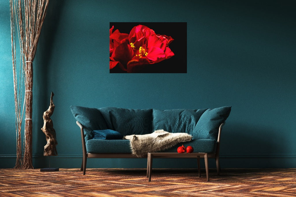 Flamenco Blossom