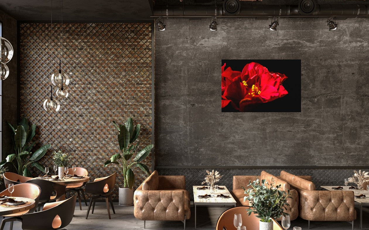Flamenco Blossom