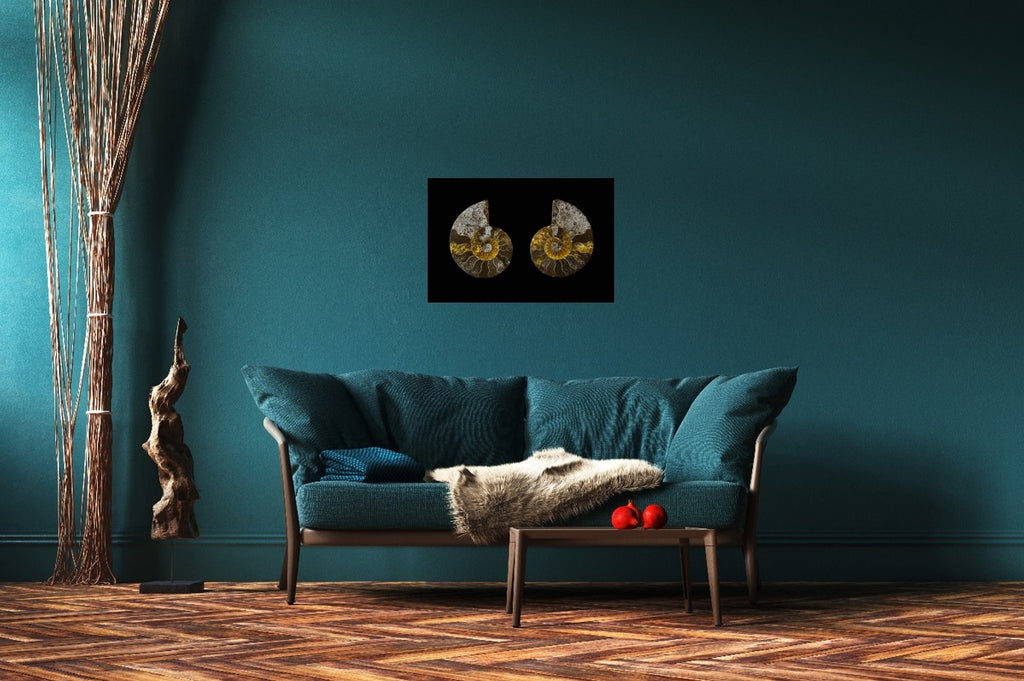 Fossil Memory - Fine Art
