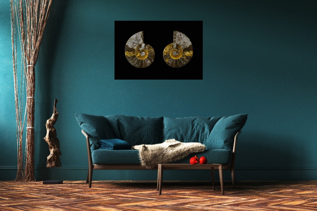 Fossil Memory