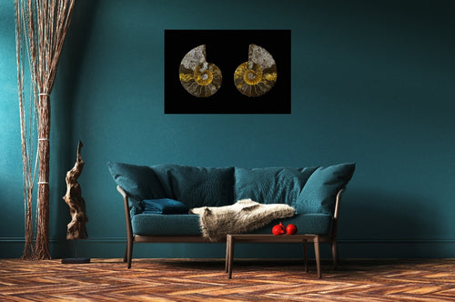 Fossil Memory