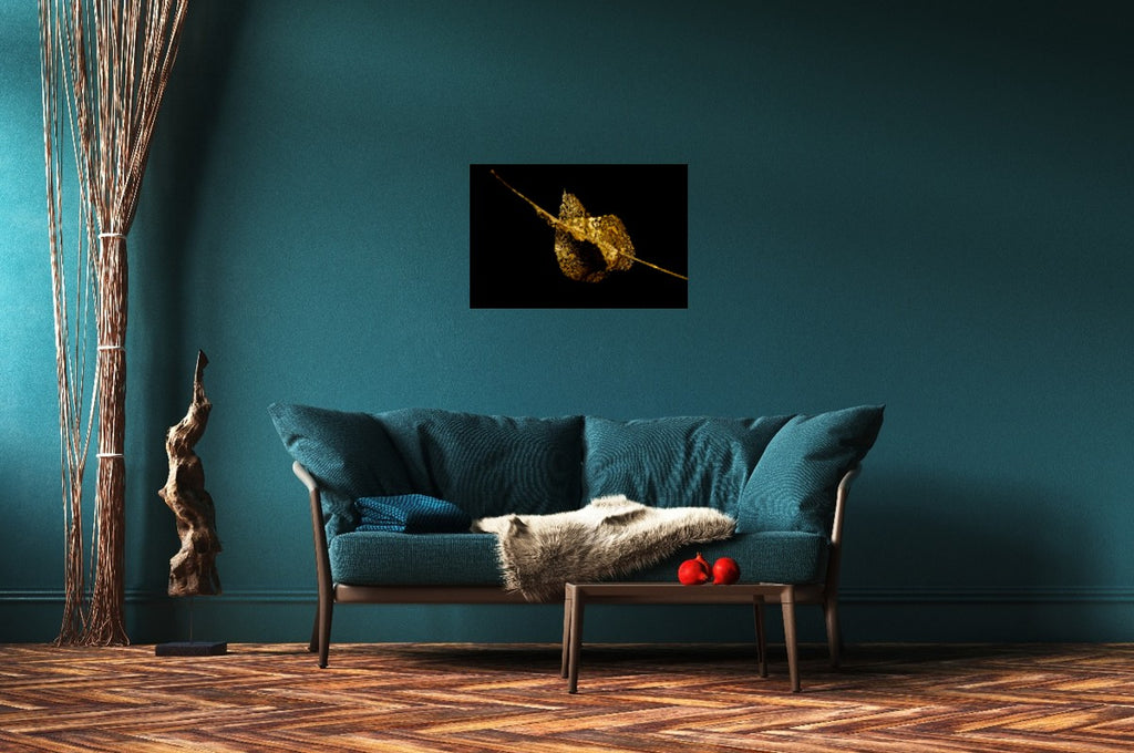 Fragile Grace - Fine Art