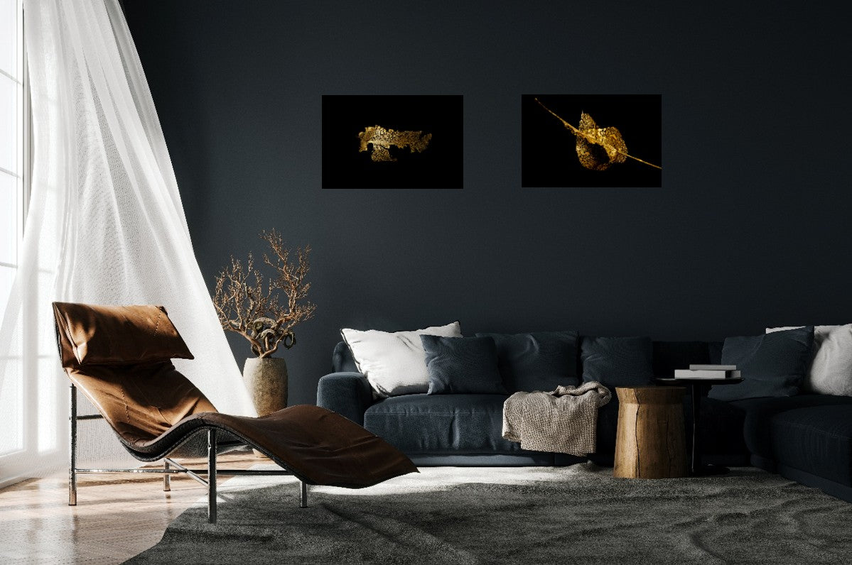 Golden Grace - Fine Art