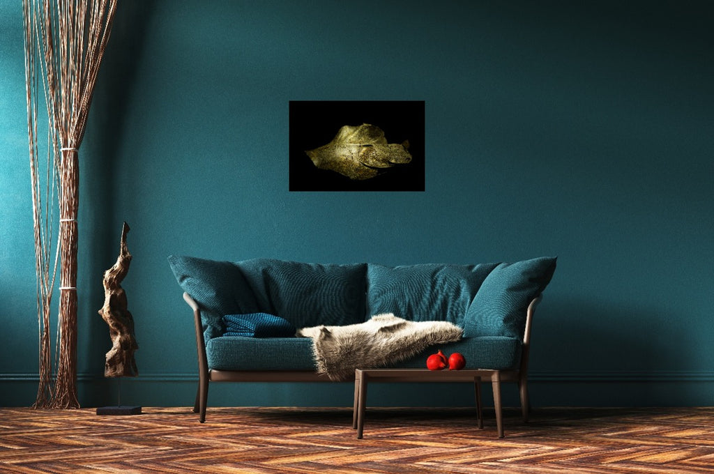 Golden Light Play - Fine Art