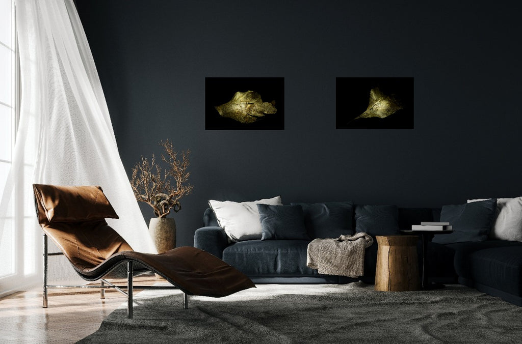 Goldene Blattruine - Golden Light Play