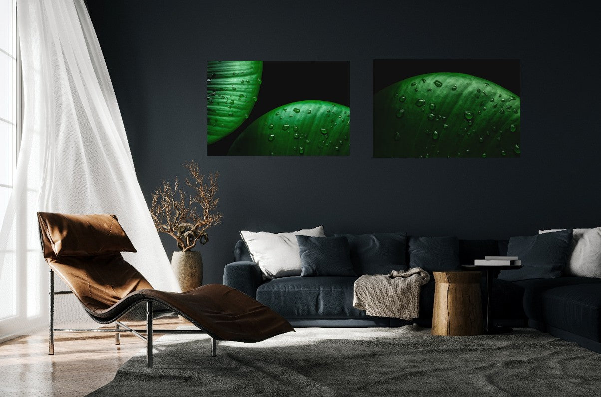 Harmonical Raindrops