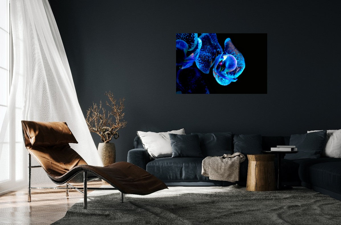 Lapislazuli Chameleon Flower