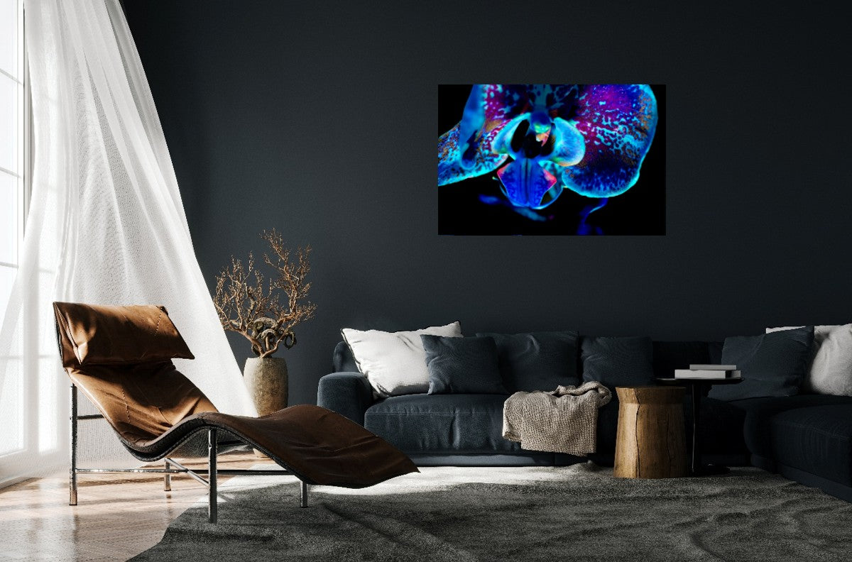 Morpho Flower