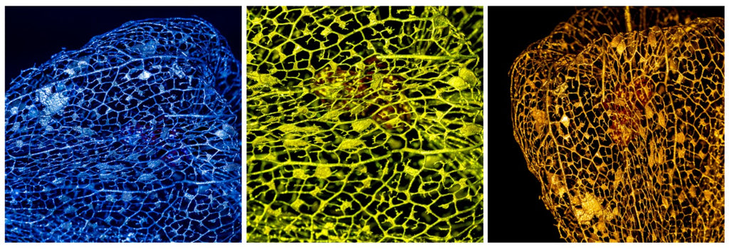 Main image Perle der Nacht - Triptychon