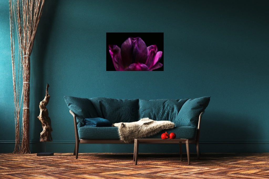 Purple Silent