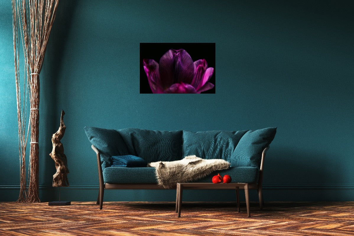 Purple Silent
