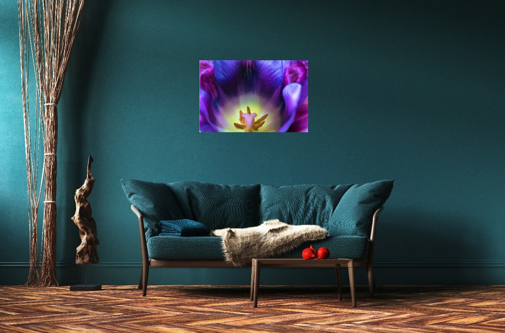 Purple Spring