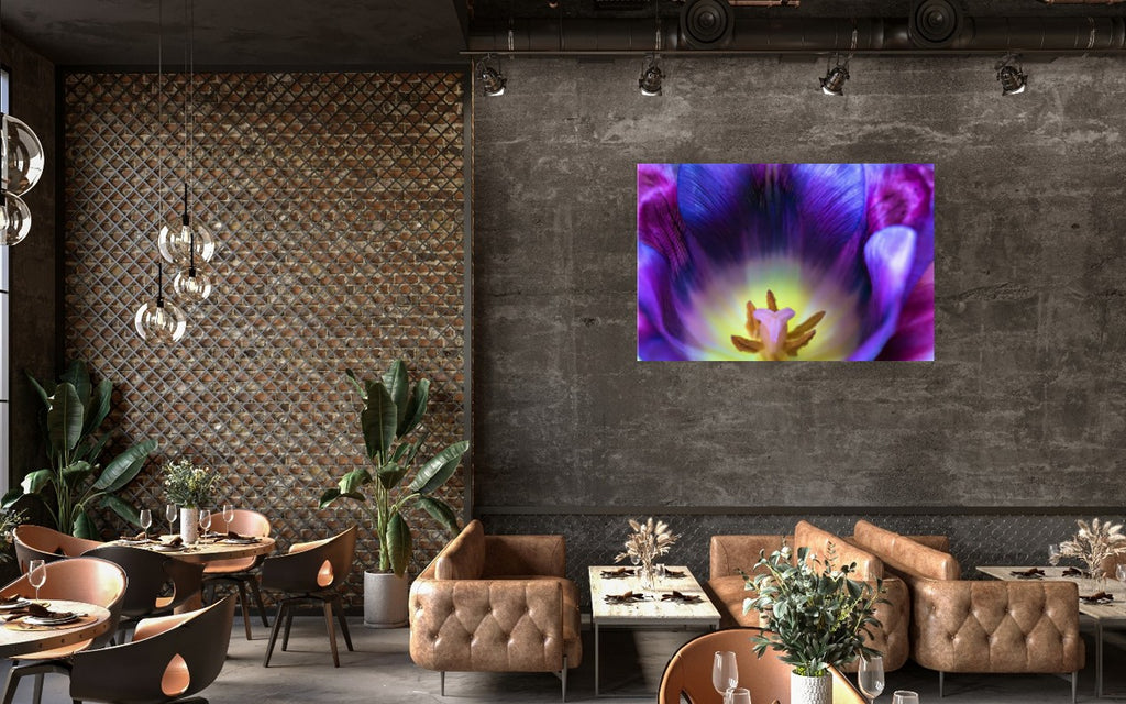Purple Spring
