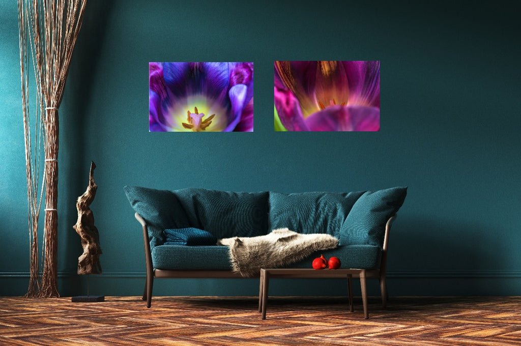 Purple Spring