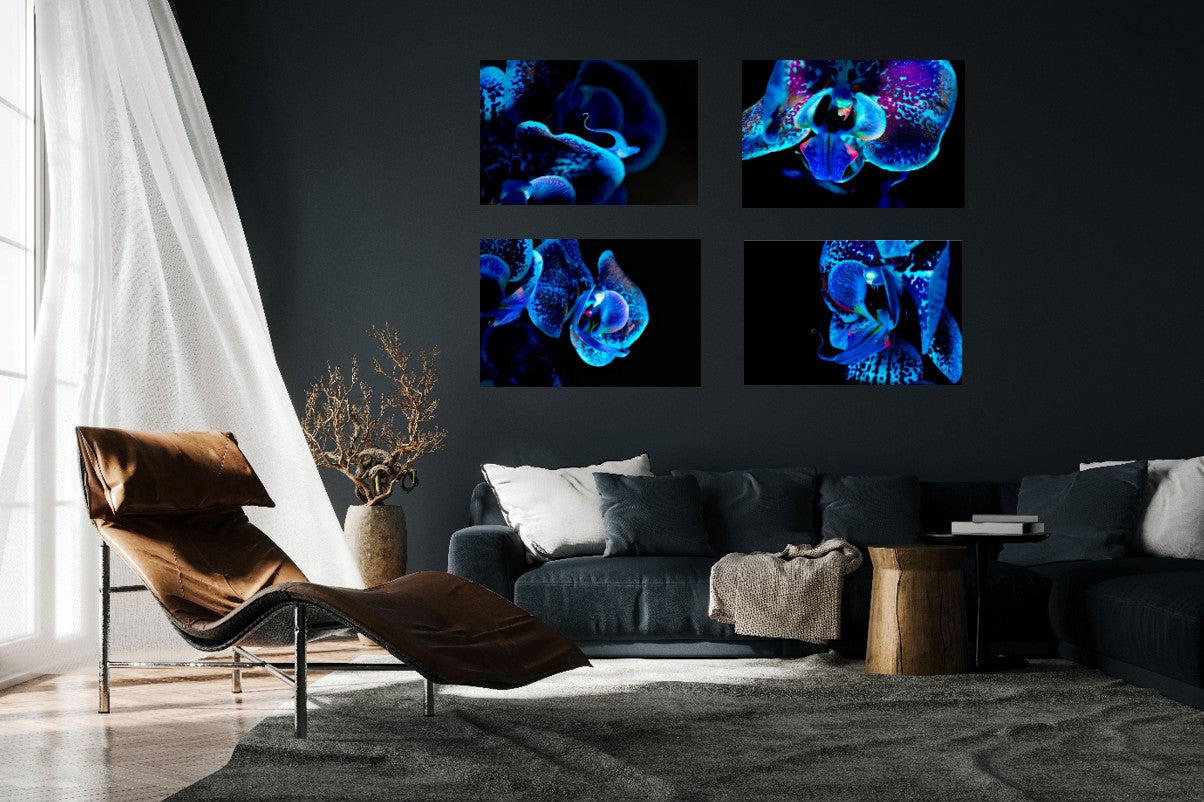 Morpho Flower